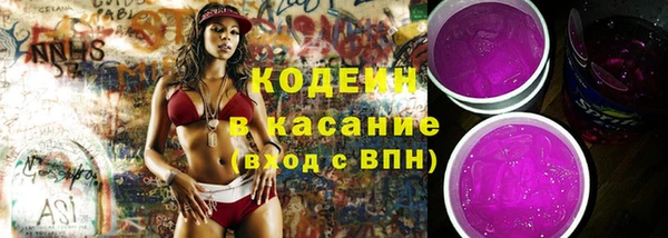 эйфоретик Няндома