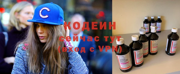 эйфоретик Няндома