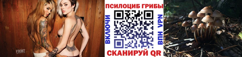 Псилоцибиновые грибы GOLDEN TEACHER  kraken как зайти  Иркутск 