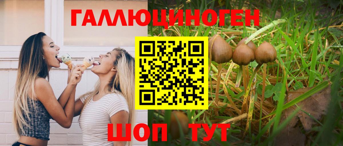 Псилоцибиновые грибы Magic Shrooms Иркутск
