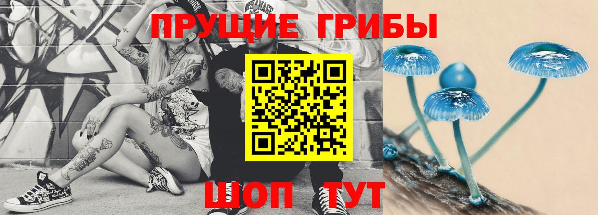 Иркутск  Псилоцибиновые грибы GOLDEN TEACHER  Вход с VPN  Псилоцибиновые грибы мицелий 
