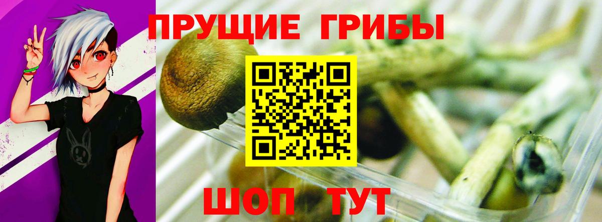 Галлюциногенные грибы Cubensis Иркутск